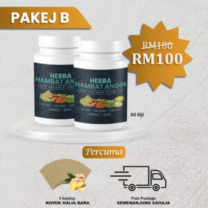 HAMBAT ANGIN 2